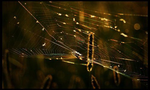 заплутавшая радуга