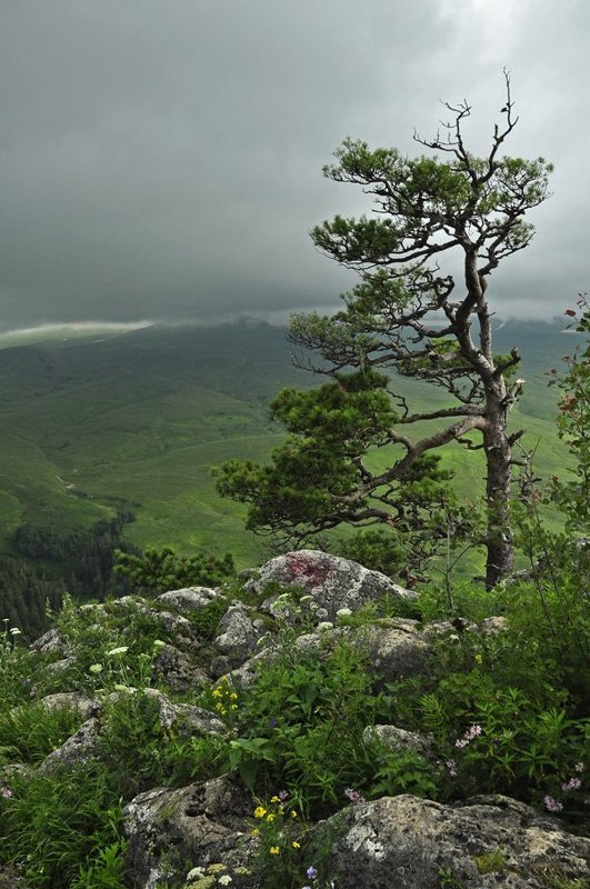 упираясь в облака фото превью