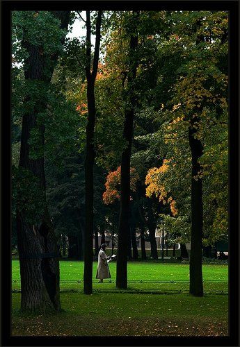 Осень пришла...