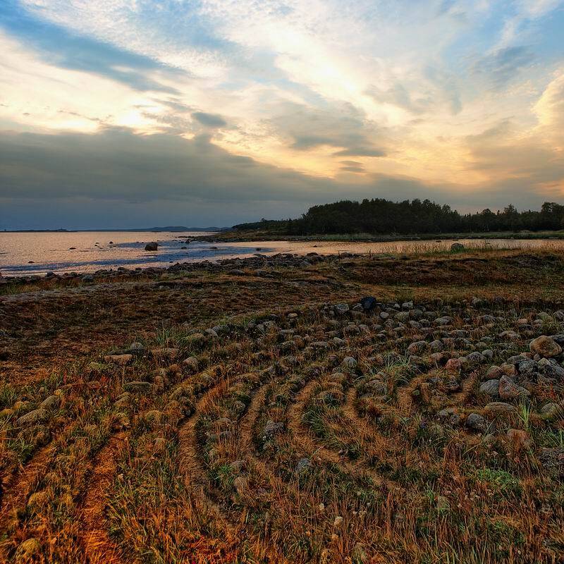 лабиринт, николай дмитрук