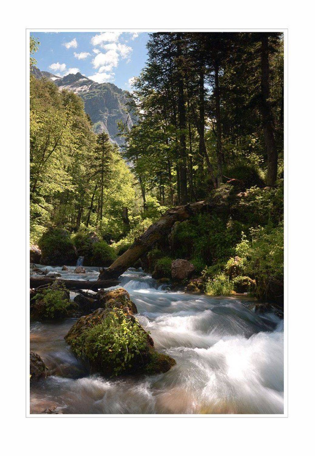 фишт,пшеха,река,водопадистый,горы, Чебурашка