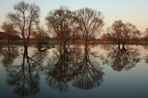 Весна на реке