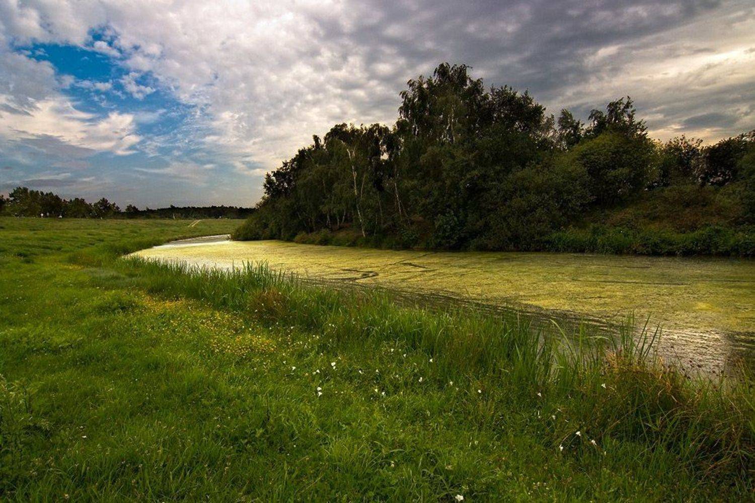 , Андрей Neufeld