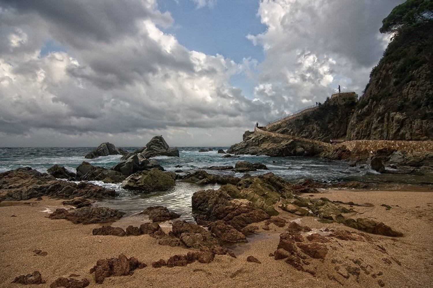 , Андрей Neufeld