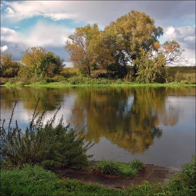 река, москва, осень, звенигород, Тарасов Алексей