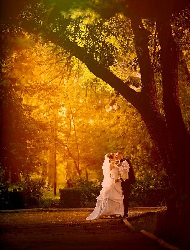 wedding фото превью