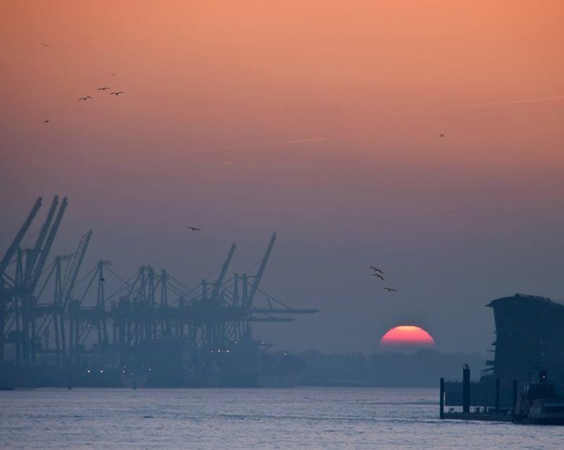 Розовый вечер фото превью