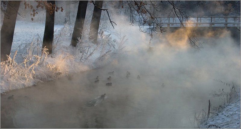 Из жизни маленькой речки фото превью