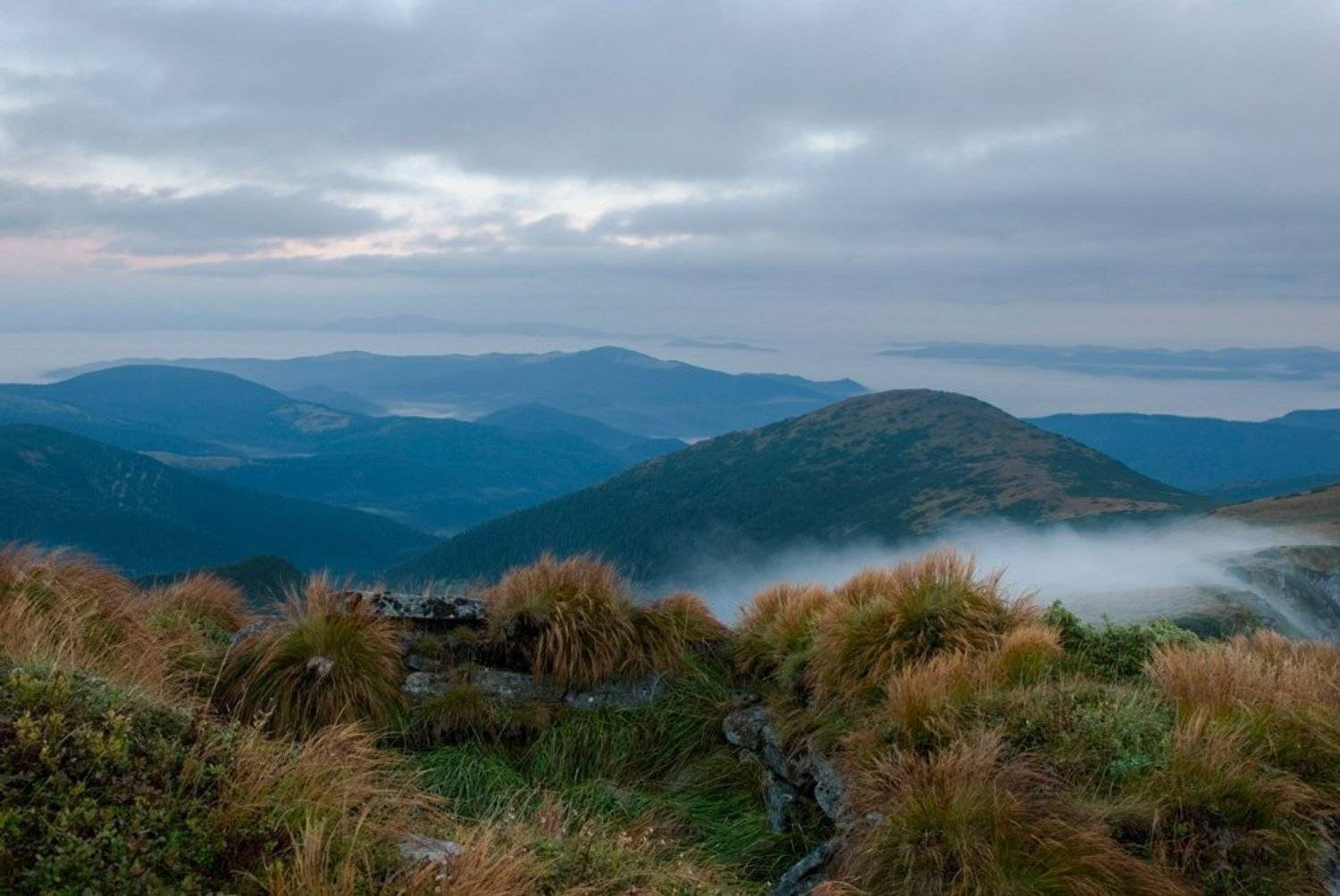 , Павел Лёушкин