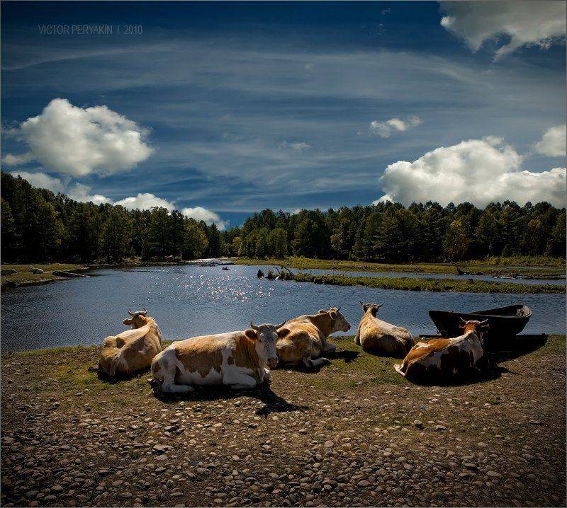 , Виктор Перякин