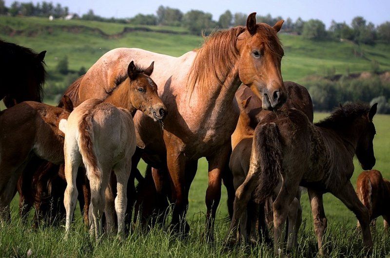 Детский сад фото превью