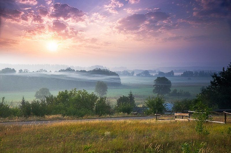 обычное августовское утро фото превью