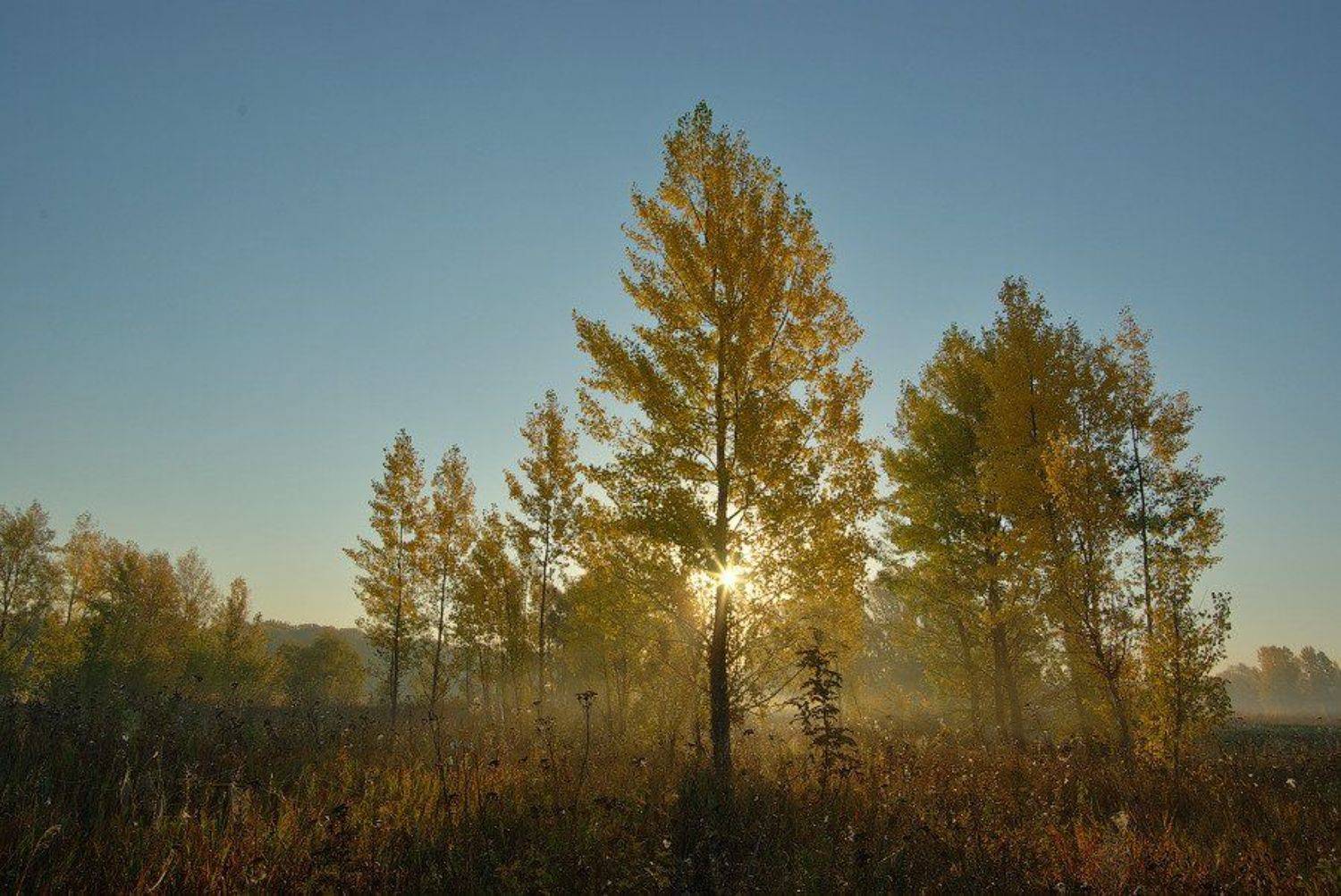 , Andrew (a-never) Nitsenko