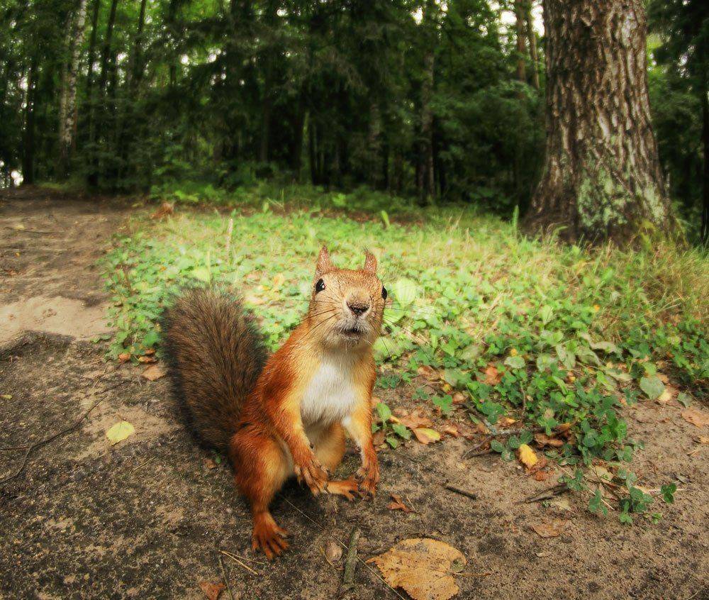 , Павел Дунюшкин