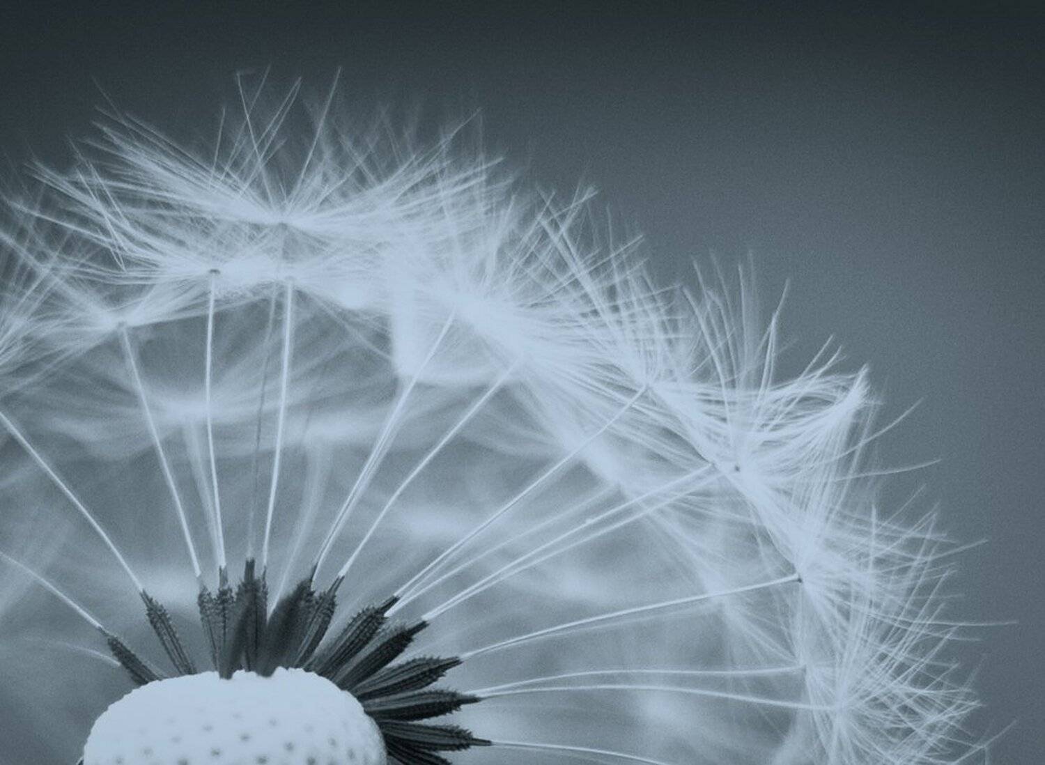 , Андрей Заяц