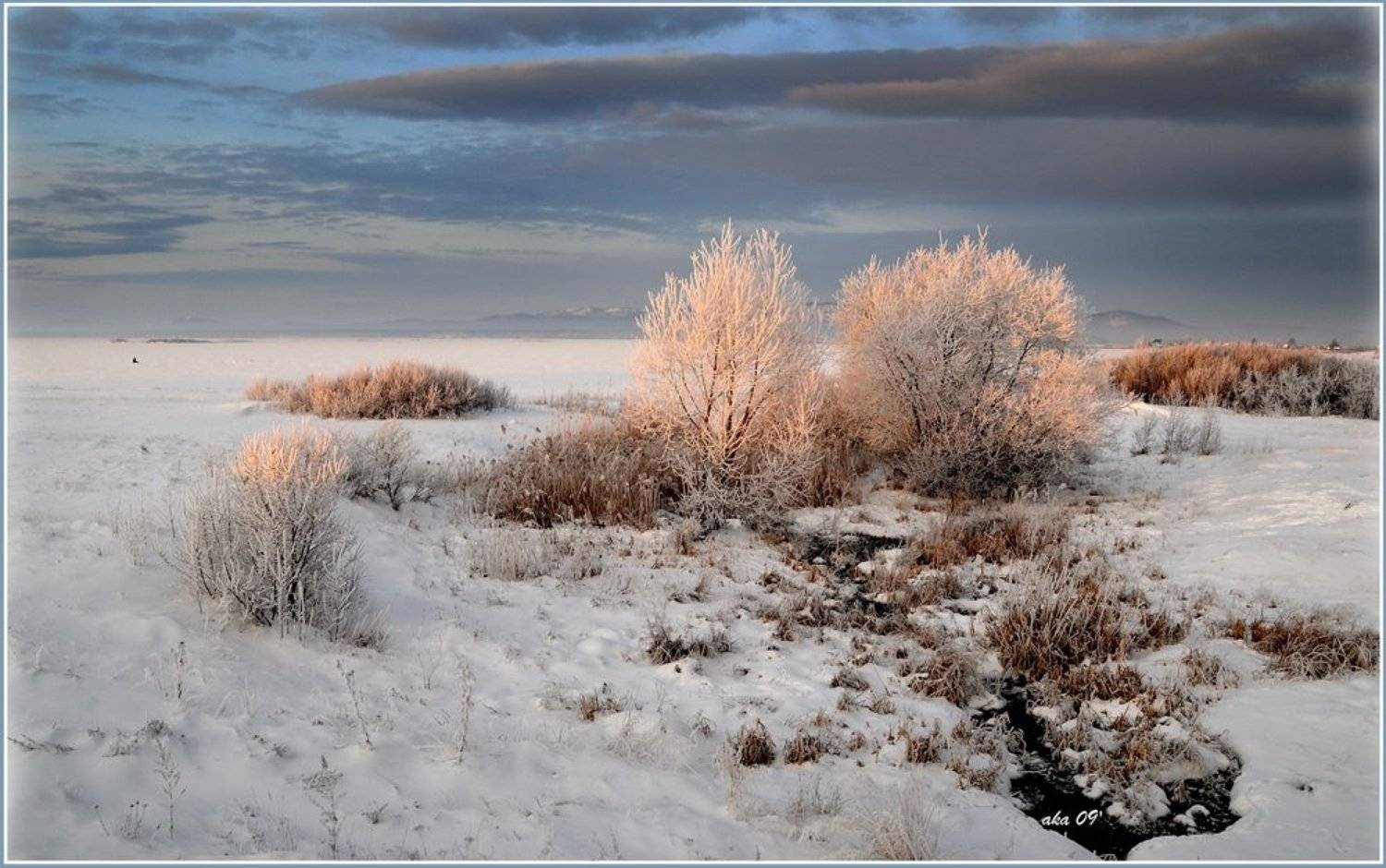, Андрей Кашлаков