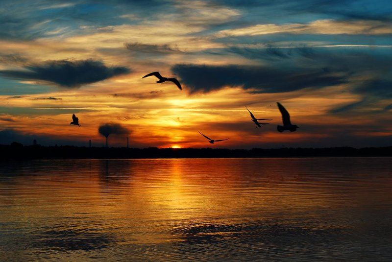 закат, природа, вода закат фото превью