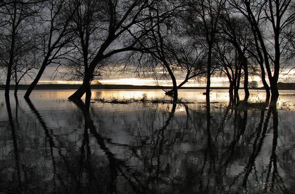 осень,река,рассвет,разлив, Валерий Кондратов