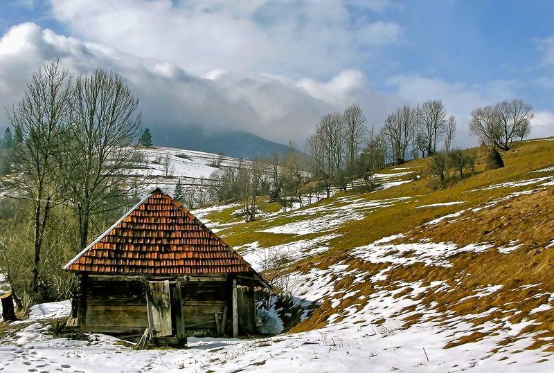 весна фото превью