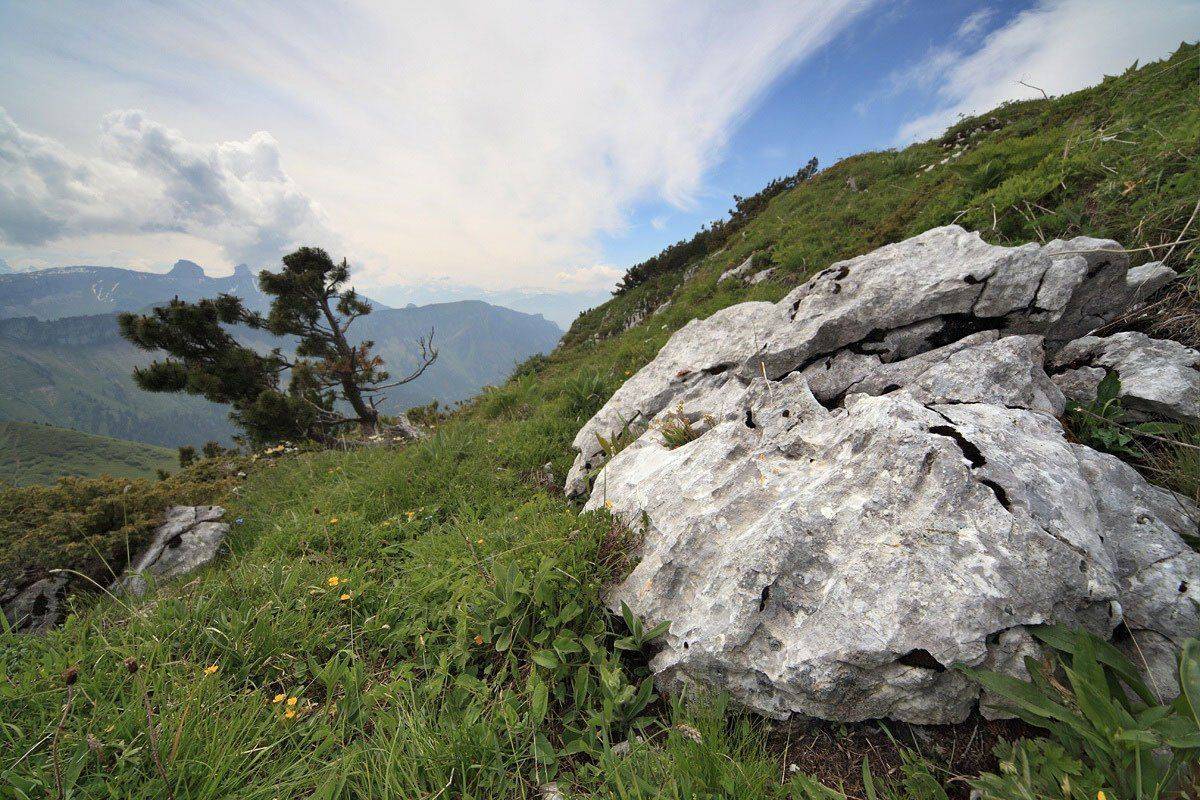 швейцария,монтрё, Матвеев Николай