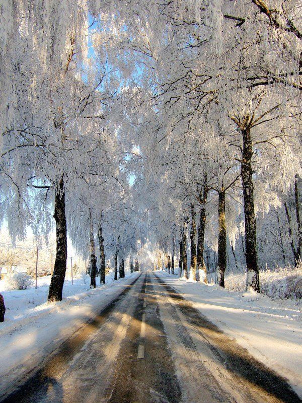 way for the winter фото превью