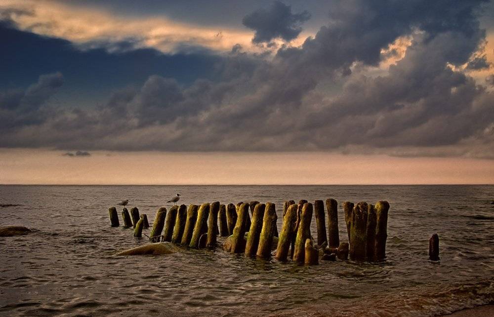 море,чайки, Александр Титаренко
