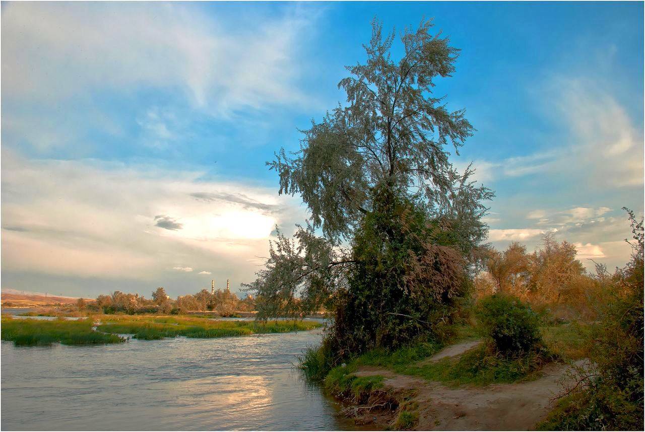 природа, Геннадий Меремьянин