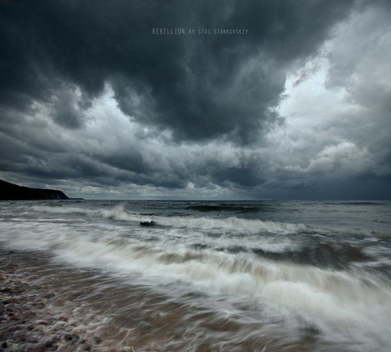 Rebellion фото превью