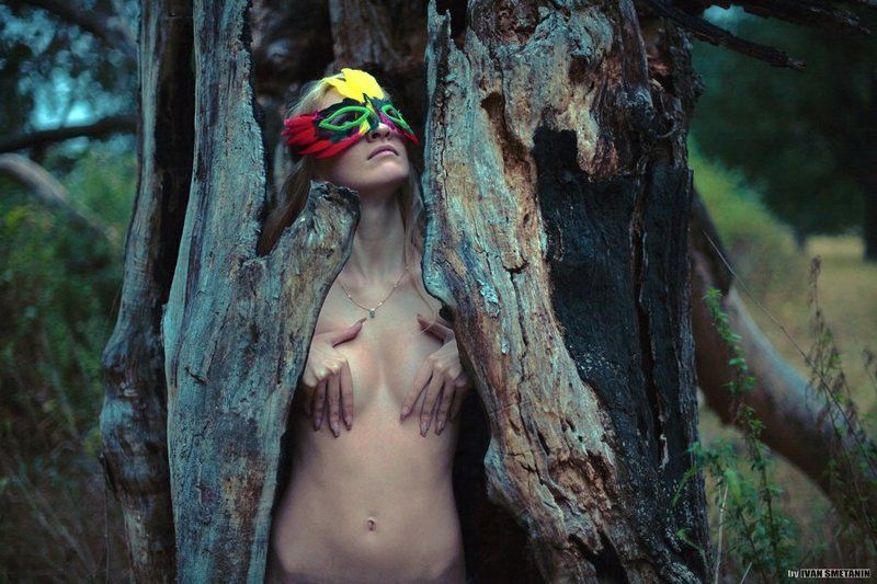 outlandish bird фото превью