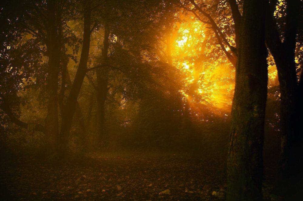 , Валерий Смирнов