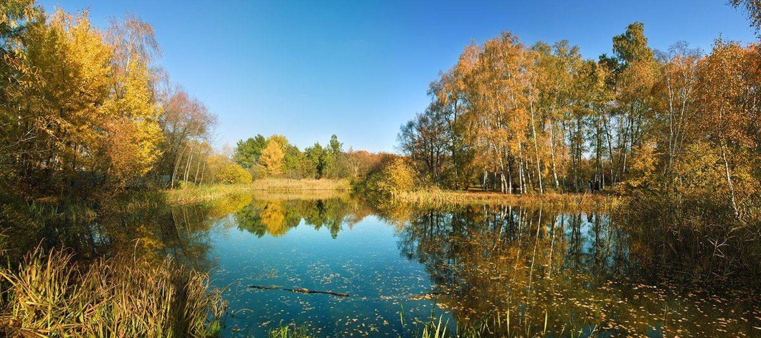 , Вадим Казаков