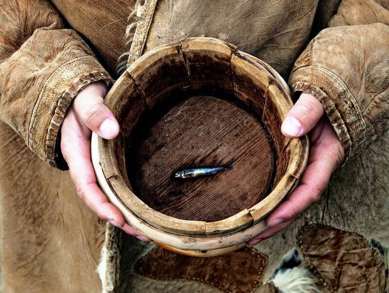 натюрморт, николай дмитрук