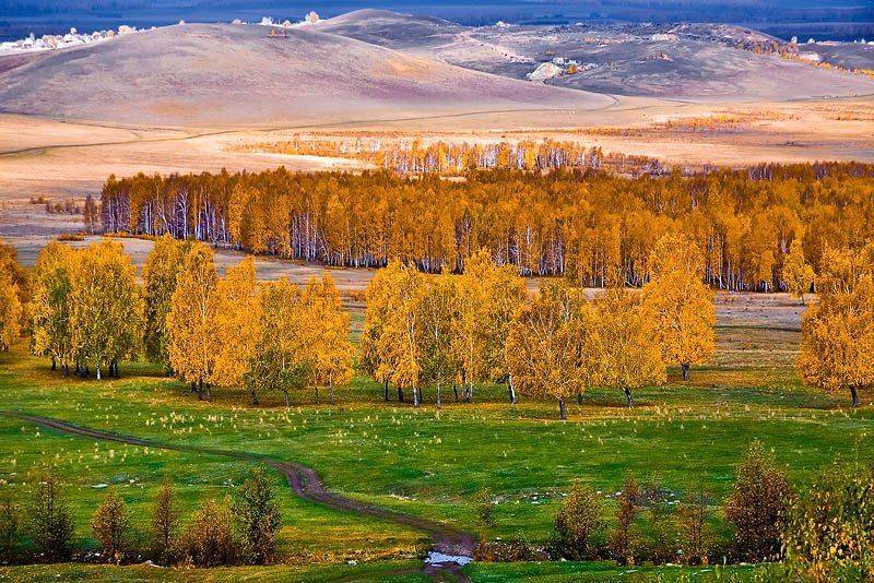 осень, жёлтый, башкирия, Качурин Алексей