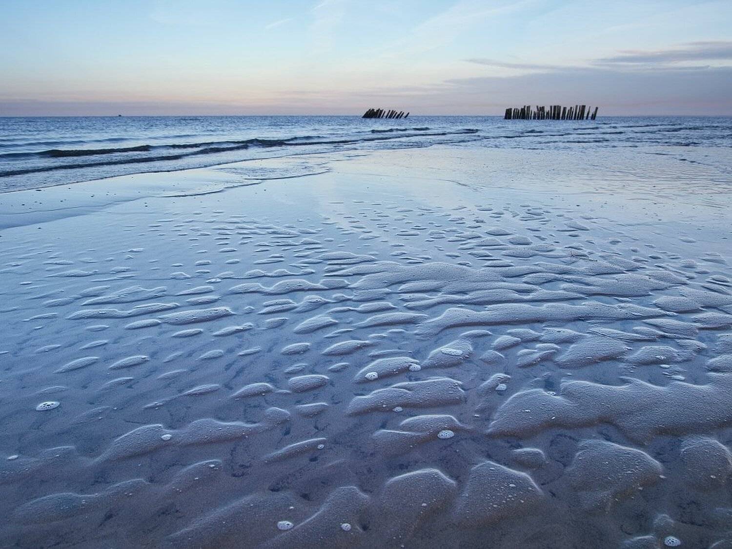 , Максим Евдокимов