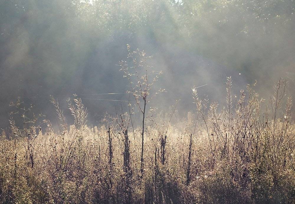 , Александр