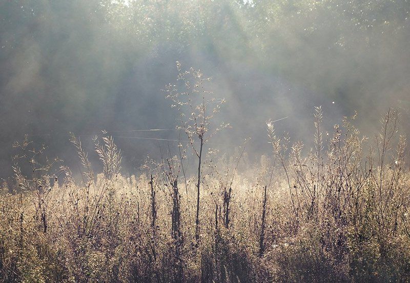 Бабье лето фото превью