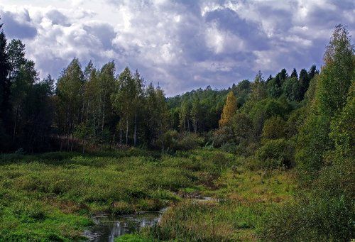 Осенняя зарисовка