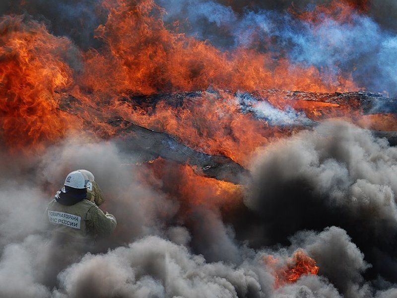 пожар, лес, мужество Такая работа... фото превью