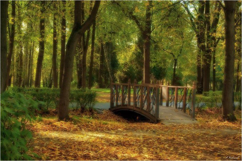 Мостик фото превью