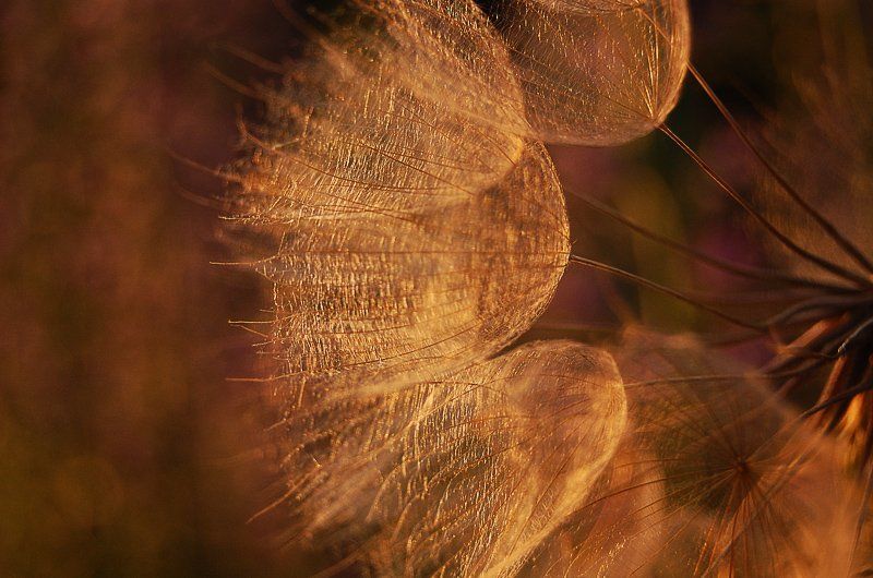 * фото превью