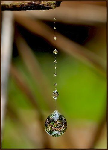 Капелька нашей жизни.