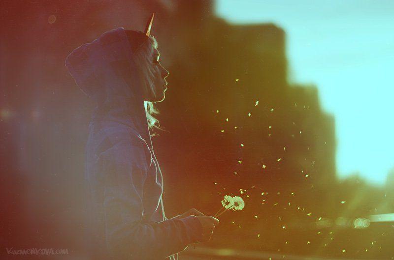 sunset sunsetphoto preview