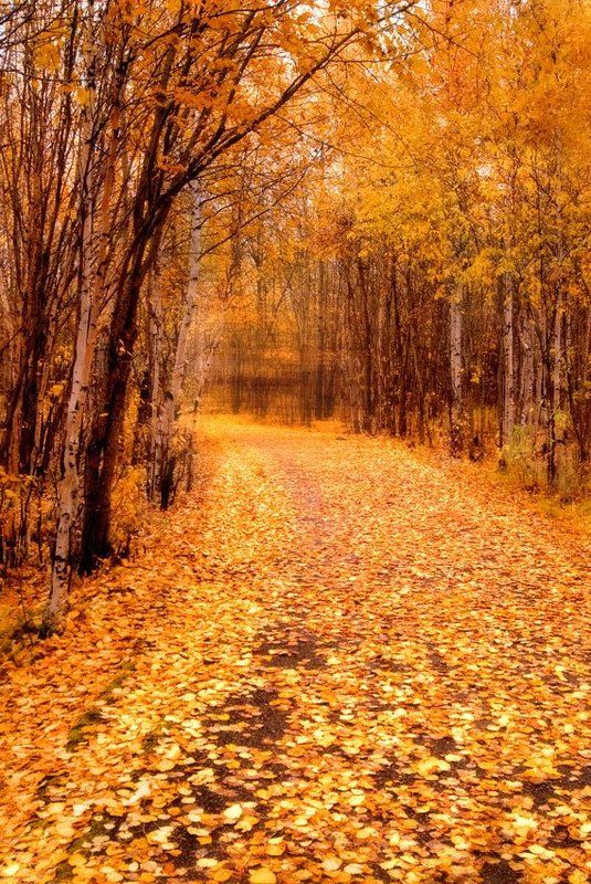 С осенью уйти... фото превью