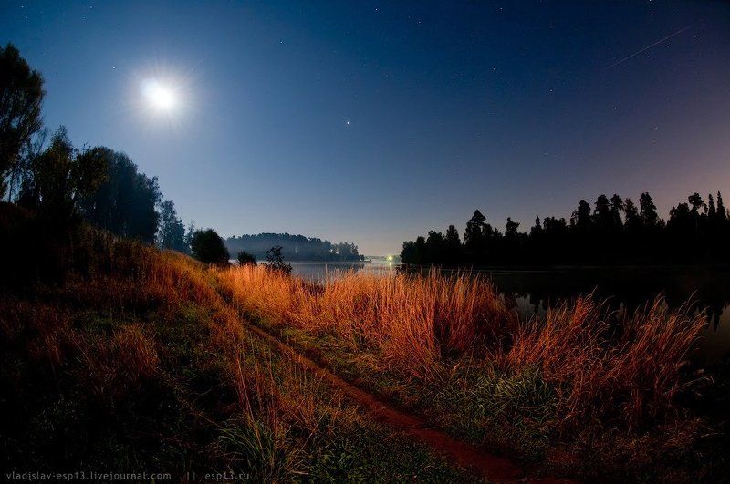 В ночи, сквозь шорохи тумана... фото превью
