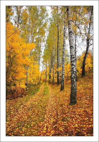 Золотая осень