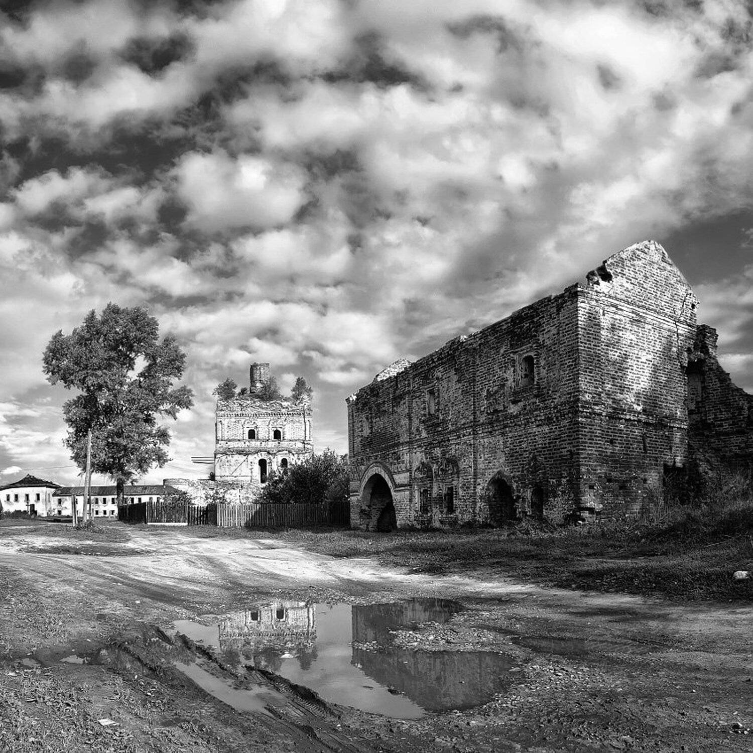 , Максим Евдокимов