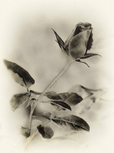 Настроение..