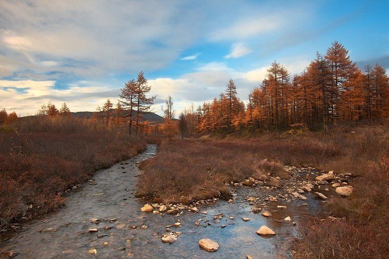 ...одела осень медью лес под сводом голубых небес фото превью