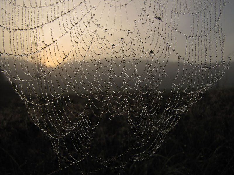 Занавес фото превью