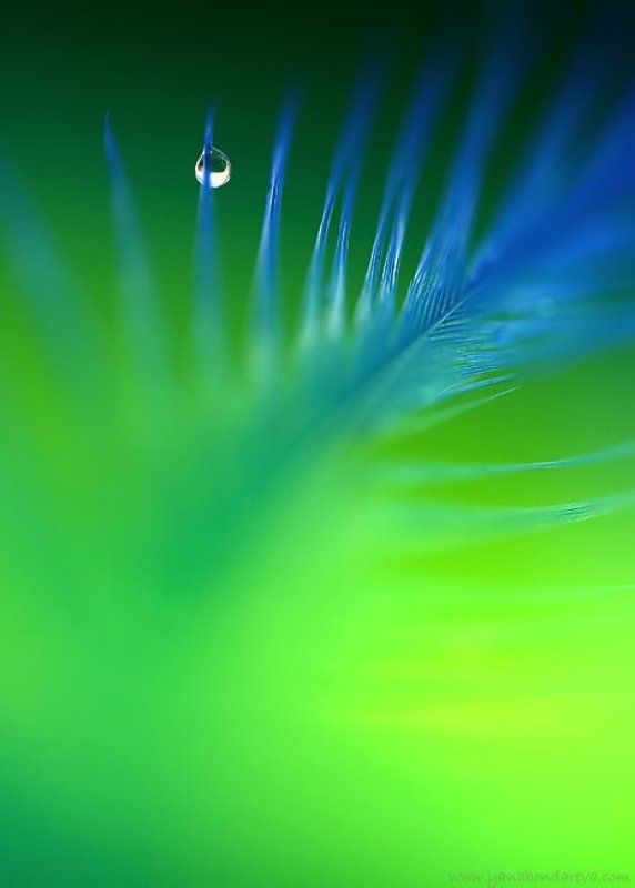 *** фото превью